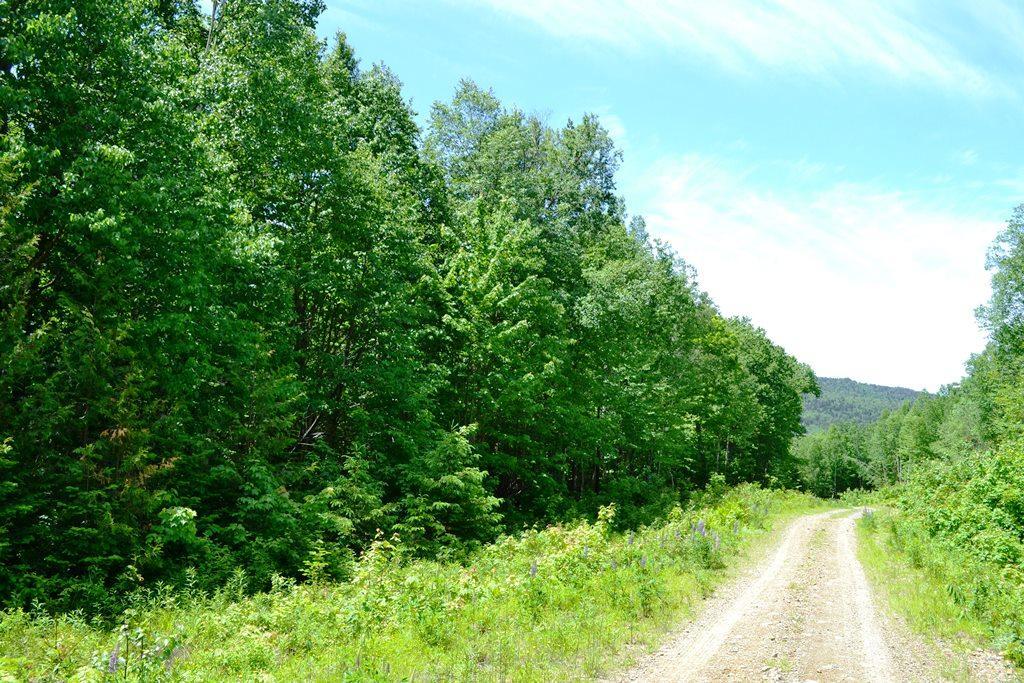 Map004-030 Ermine Road Sandy River Plt, ME 04970 - Photo 2 of 15 Heading to the 40 Acre Parcel