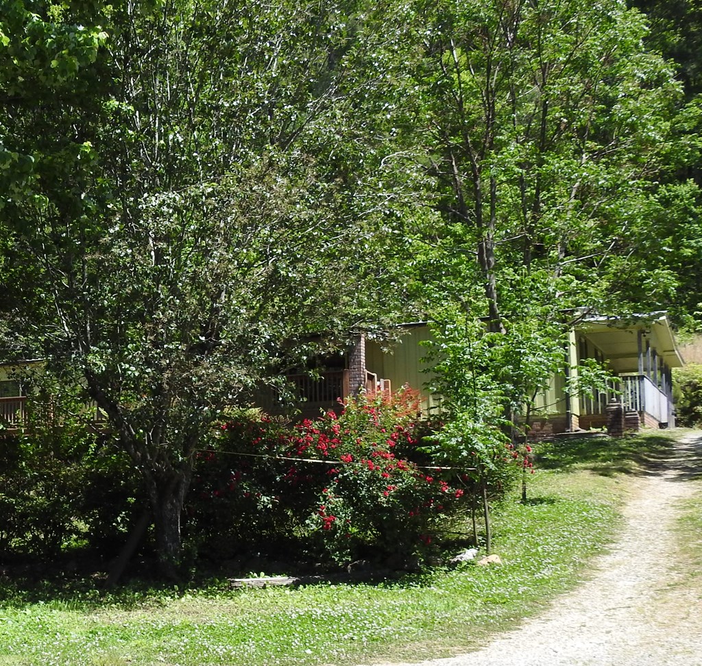 9503 Tails Creek Road Ellijay, GA 30540 - Photo 35 of 49 Gallery Image 35