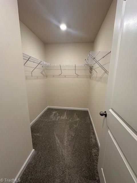 4029 Beckton Trail Jamestown, NC 27282 - Photo 24 of 30