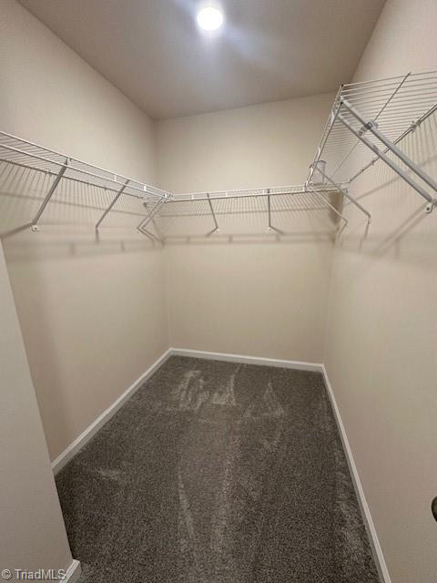 4029 Beckton Trail Jamestown, NC 27282 - Photo 25 of 30