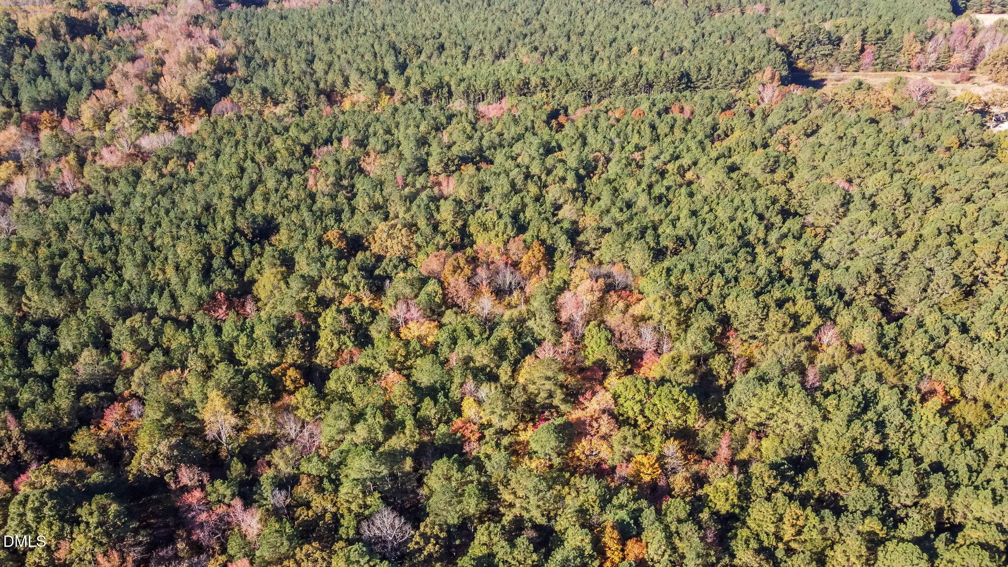 0 Cornwall Road Oxford, NC 27565 - Photo 5 of 16 a view of a plants and white wall