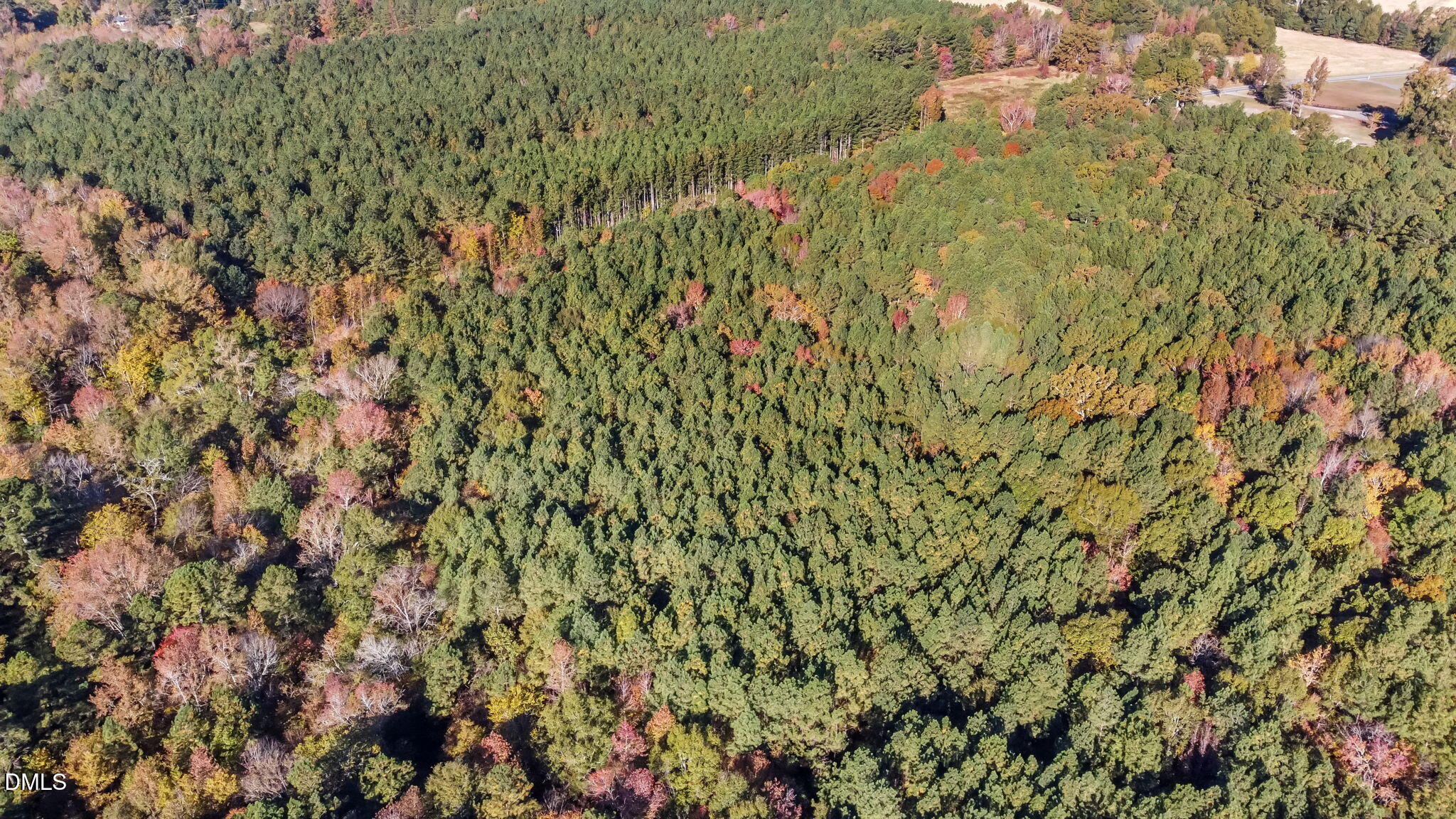 0 Cornwall Road Oxford, NC 27565 - Photo 7 of 16 a view of a yard with a plants and tree