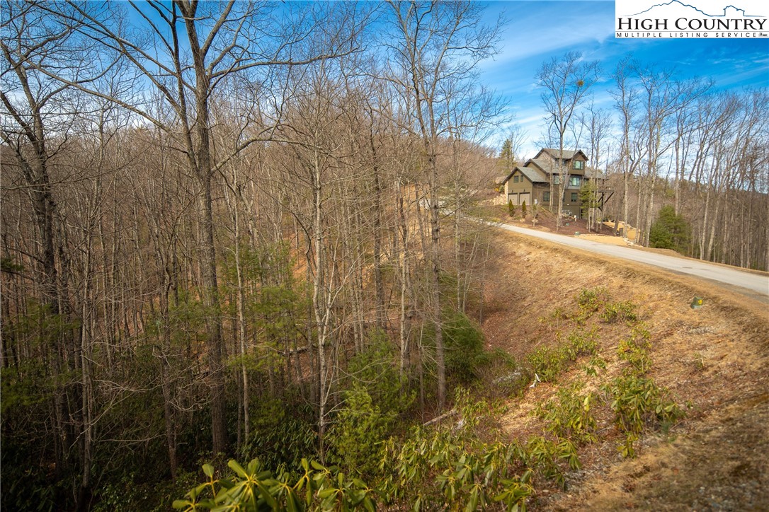 1255 Reynolds Parkway Boone, NC 28607 - Photo 9 of 48 a view of outdoor space and a yard