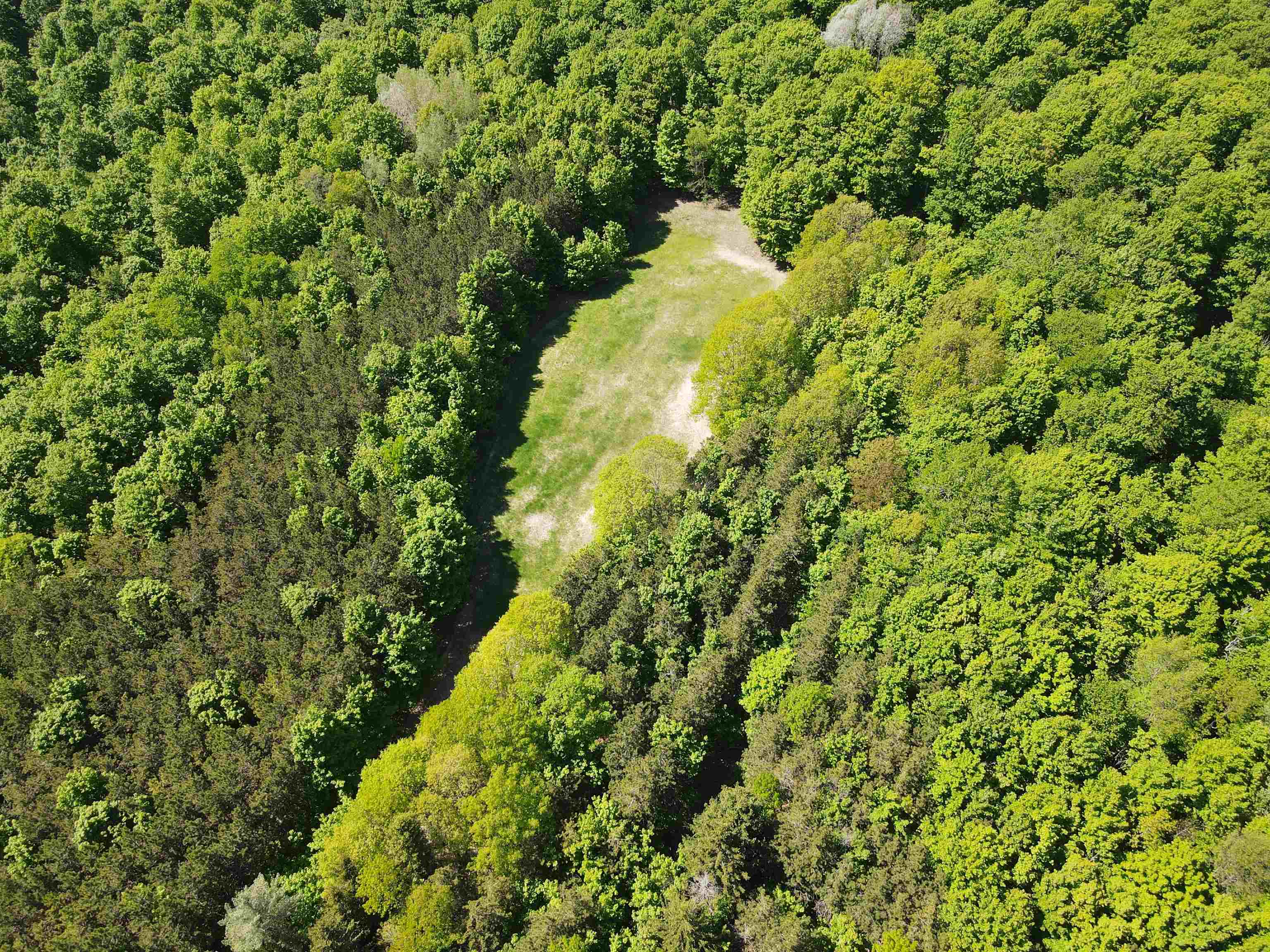 0 South Schomberg Road Cedar, MI 49621 - Photo 5 of 70