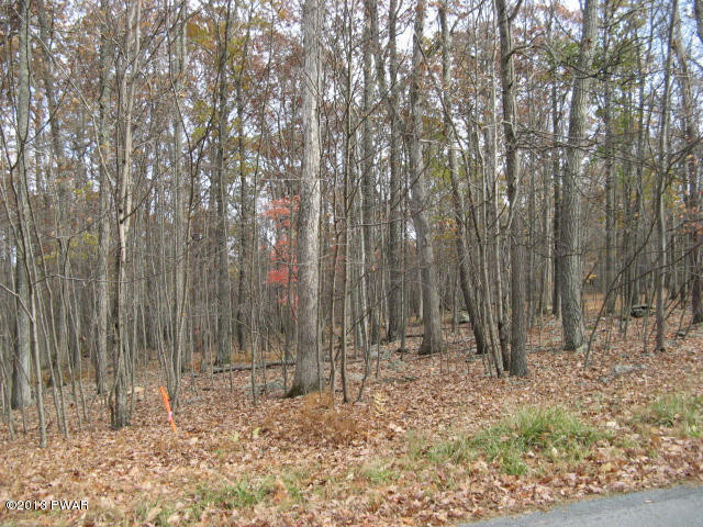Robin Way Lackawaxen, PA 18435 - Photo 5 of 23