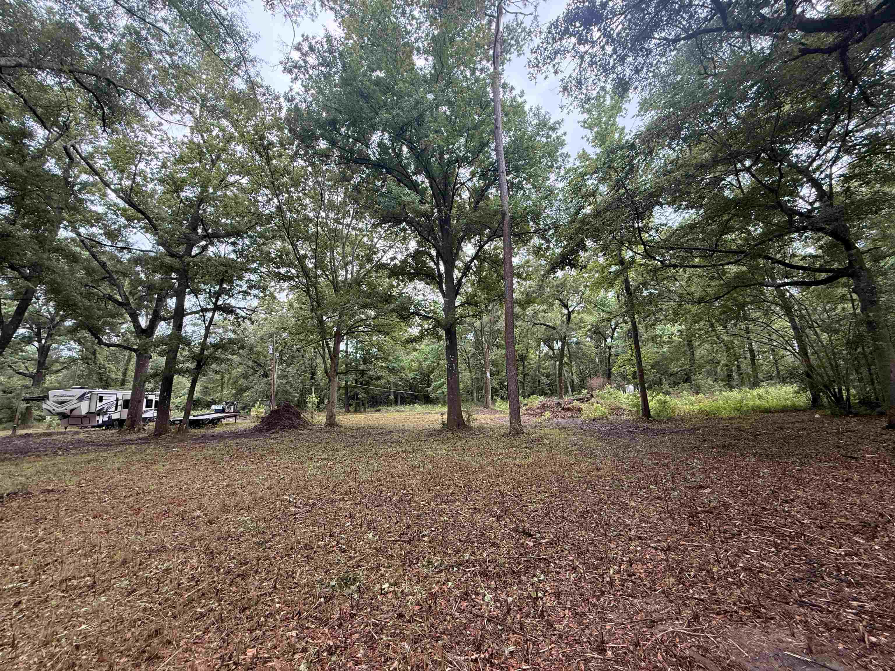 9640 Elgin Road Tallahassee, FL 32305 - Photo 16 of 21 Gallery Image 16