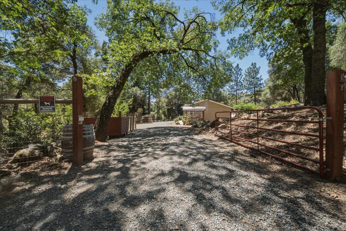 4246 Silver Ridge Court Placerville, CA 95667 - Photo 2 of 48