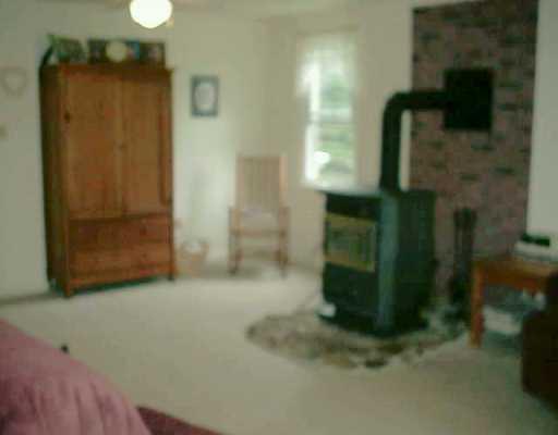 2323 Chestnut Ridge Road Blairsville, PA 15717 - Photo 4 of 5 Gallery Image 4