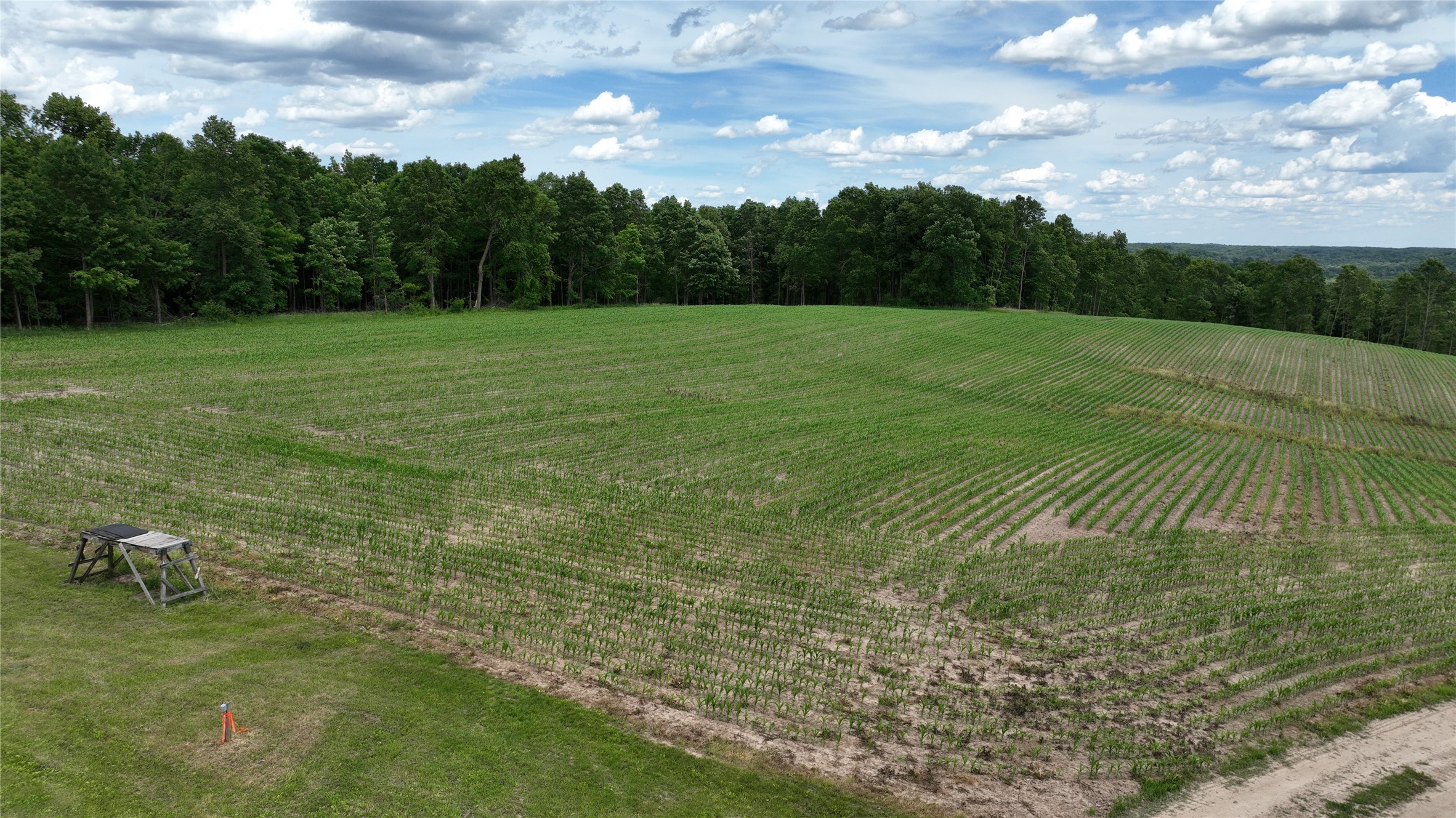Xx County Rd Q Downing, WI 54734 - Photo 14 of 45