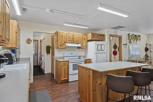 $299,000 | 26438 Lake Pittsfield Drive, Pittsfield, IL 62363