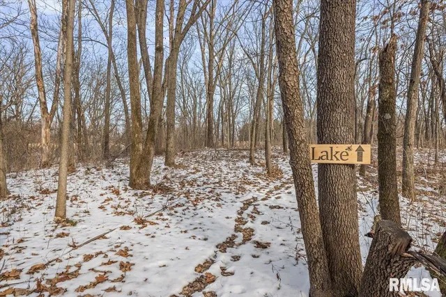 $299,000 | 26438 Lake Pittsfield Drive, Pittsfield, IL 62363