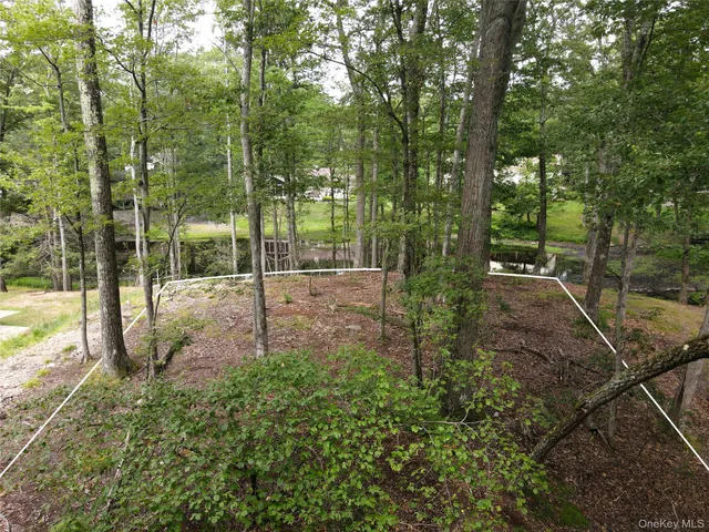 a view of a park with large trees