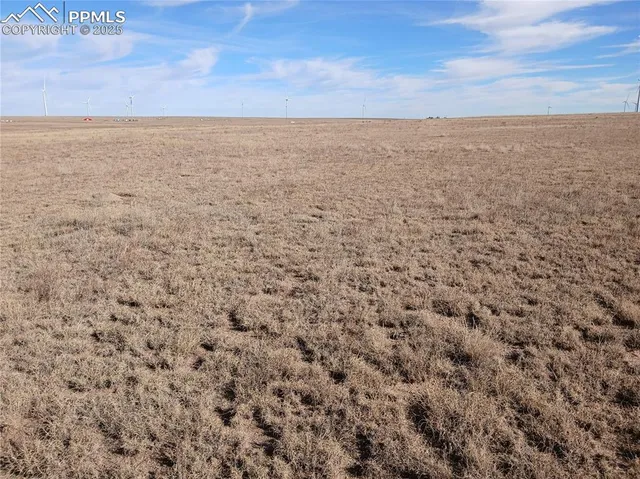 a view of an ocean beach