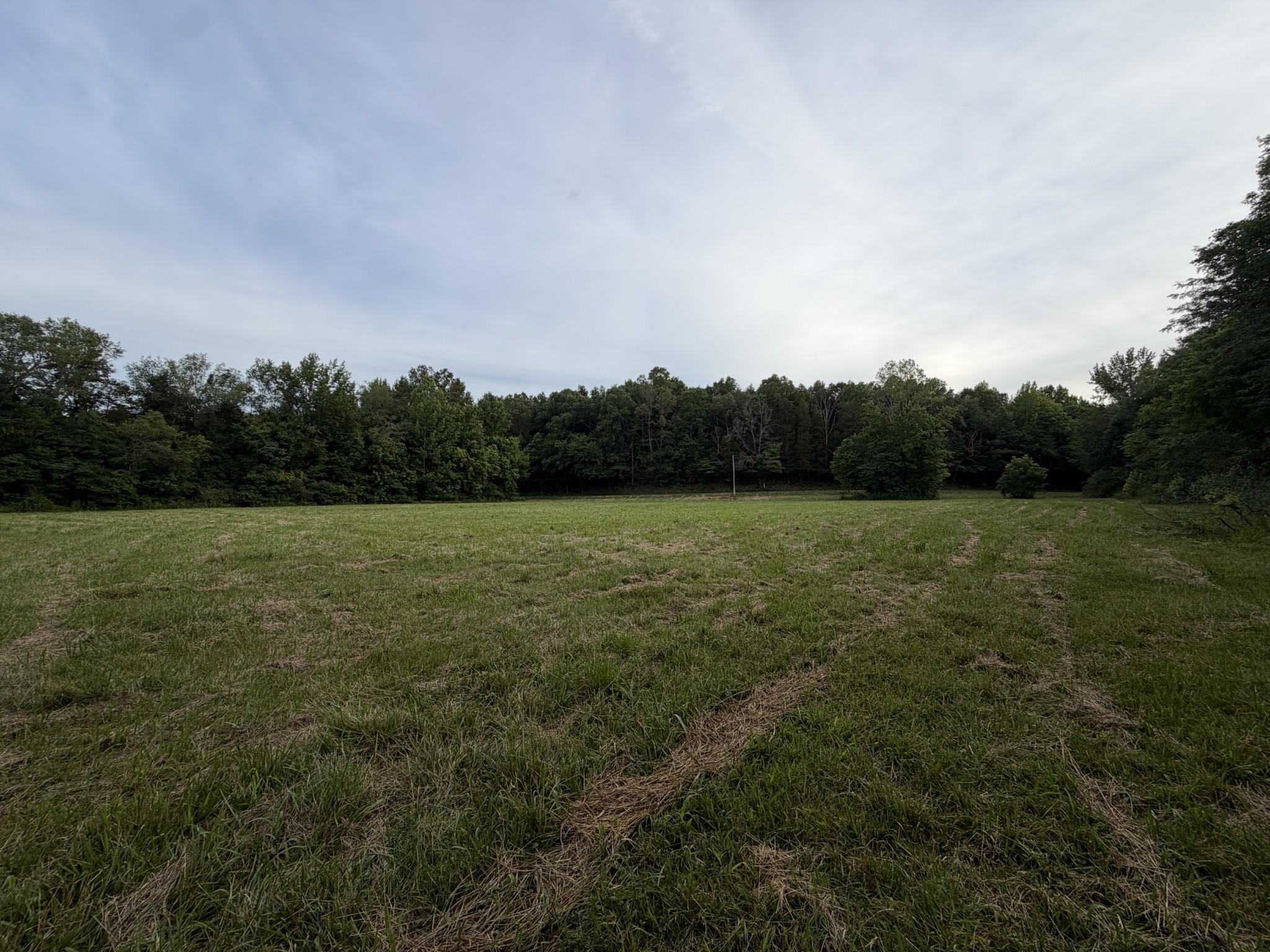 0 Dry Branch Road Holladay, TN 38341 - Photo 14 of 17