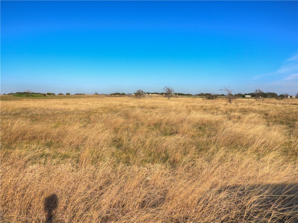 131 Sun View Road Bertram, TX 78605 - Photo 1 of 1 Gallery Image 1