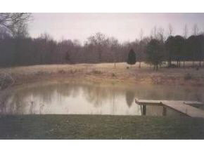 Pea Ridge Road Spencer, IN 47460 - Photo 4 of 4