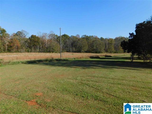 7 Bullet Lane Wilsonville, AL 35186 - Photo 3 of 12