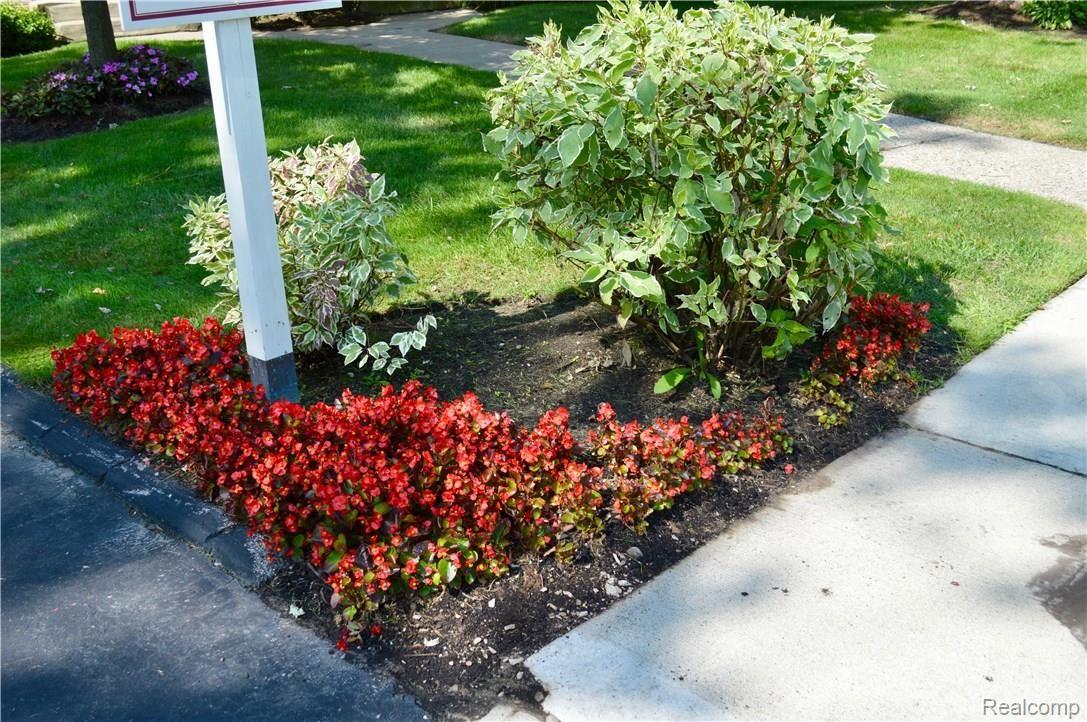 1798 Graefield Road Birmingham, MI 48009 - Photo 25 of 25 DSC_0350.jpg