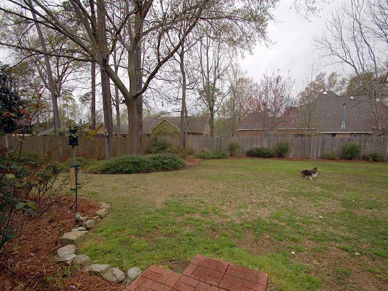 310 Rosedown Way Mandeville, LA 70471 - Photo 10 of 15 Gallery Image 10