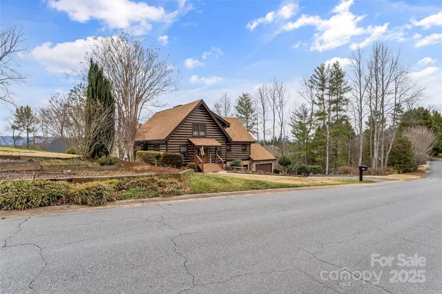 a street view with large trees