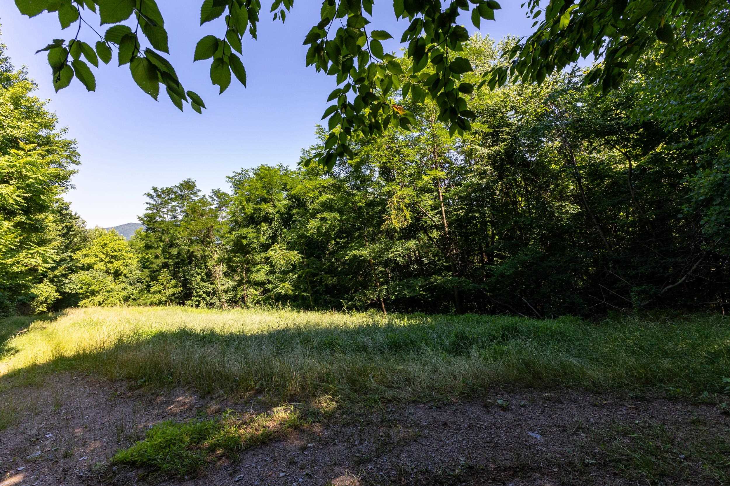 5855 Jollett Road Elkton, VA 22827 - Photo 64 of 74