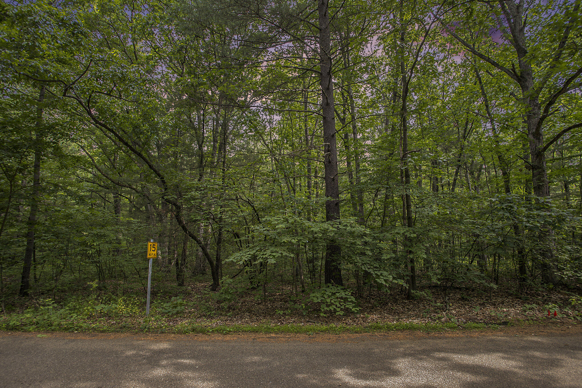 Lot B Babylon Road Allegan, MI 49010 - Photo 4 of 11 001_dng-7-twilight