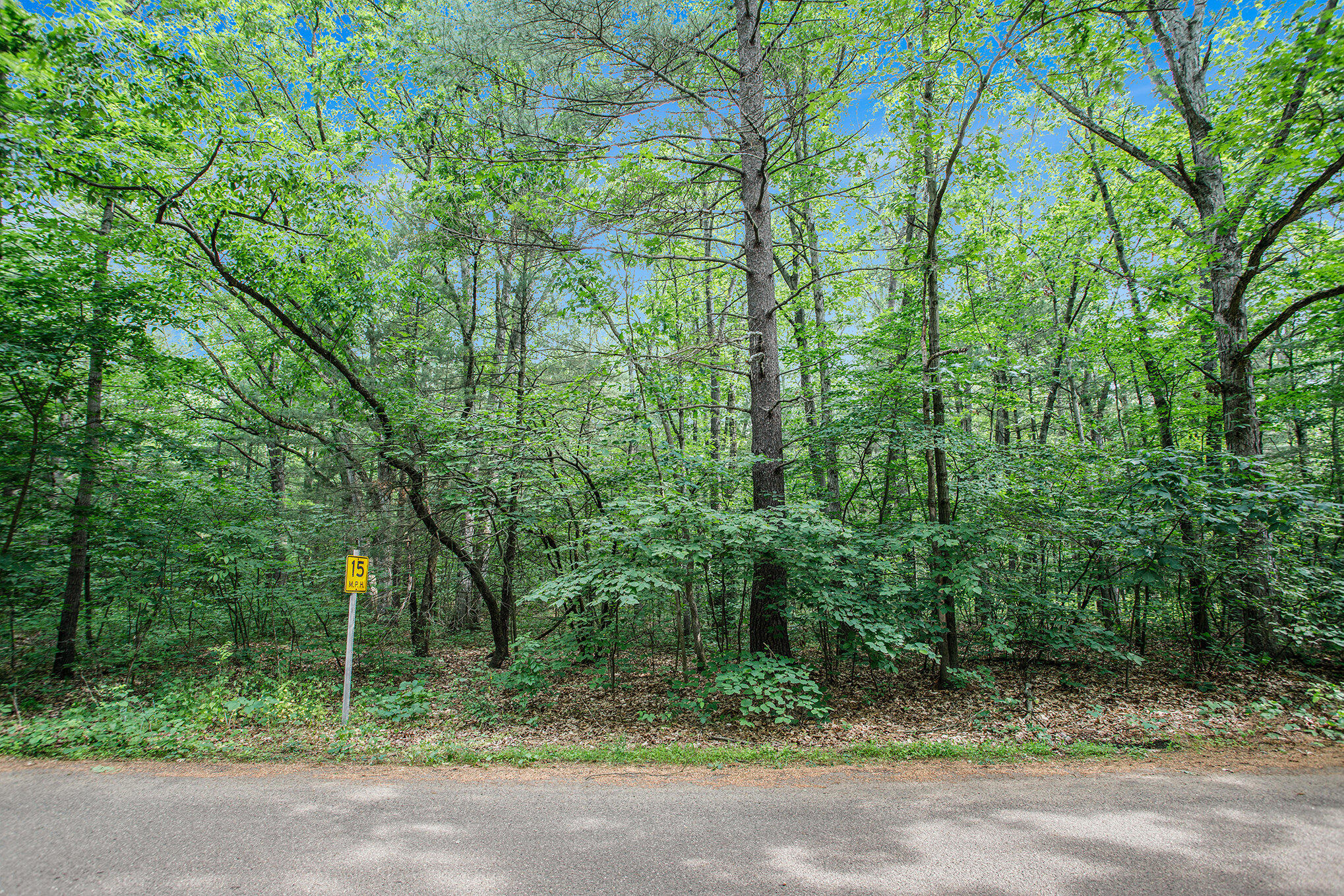 Lot B Babylon Road Allegan, MI 49010 - Photo 5 of 11 009_dng-7