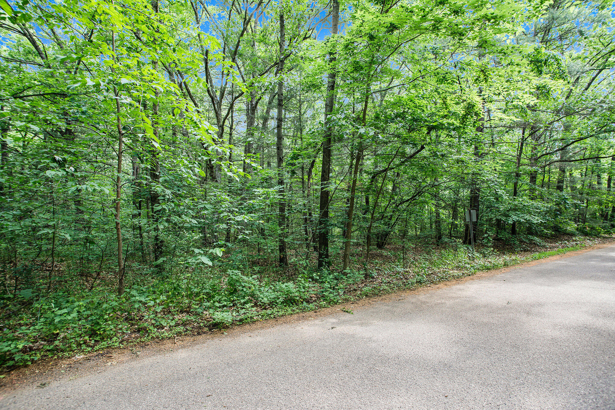 Lot B Babylon Road Allegan, MI 49010 - Photo 6 of 11 008_dng-6
