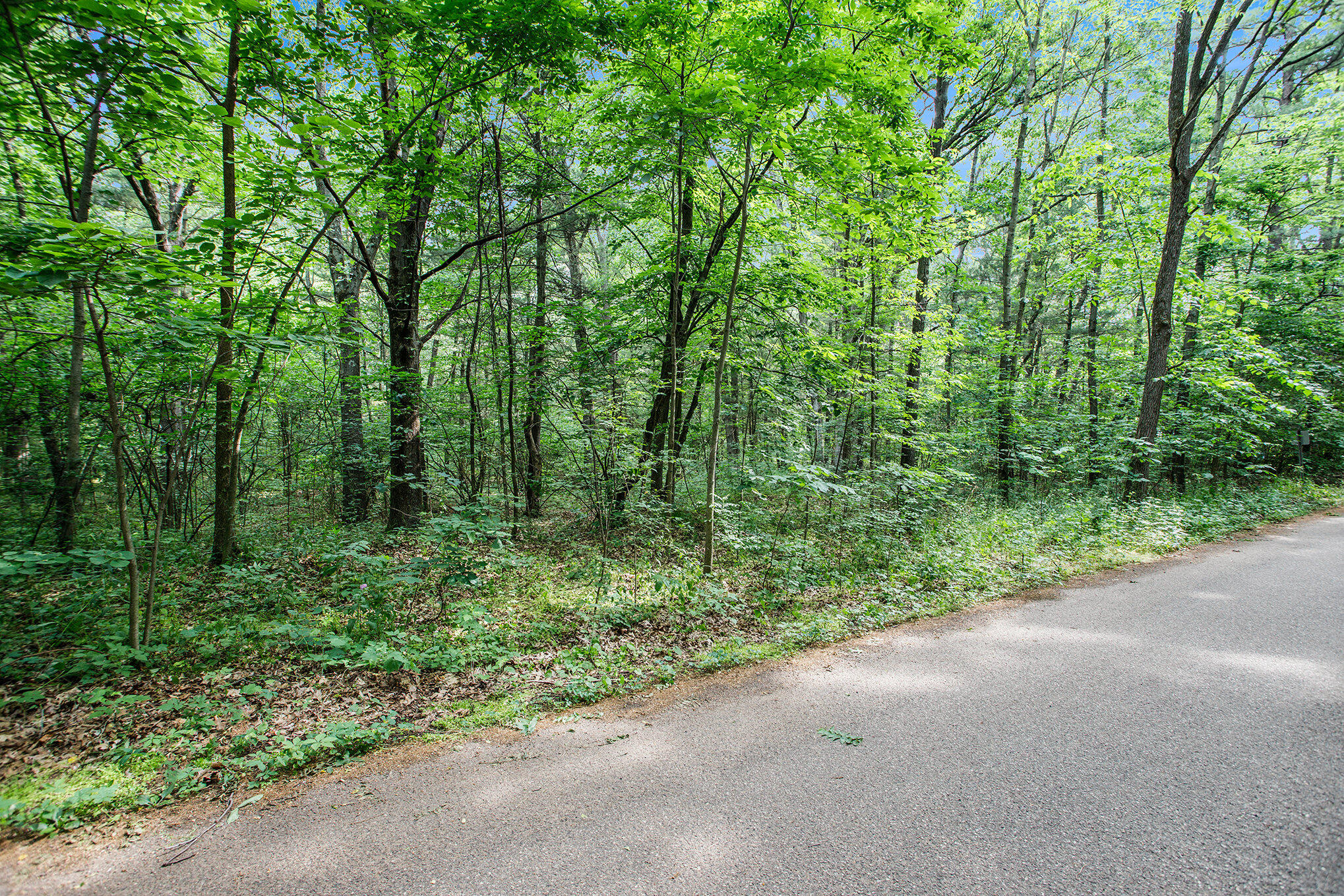 Lot B Babylon Road Allegan, MI 49010 - Photo 8 of 11 006_dng-4