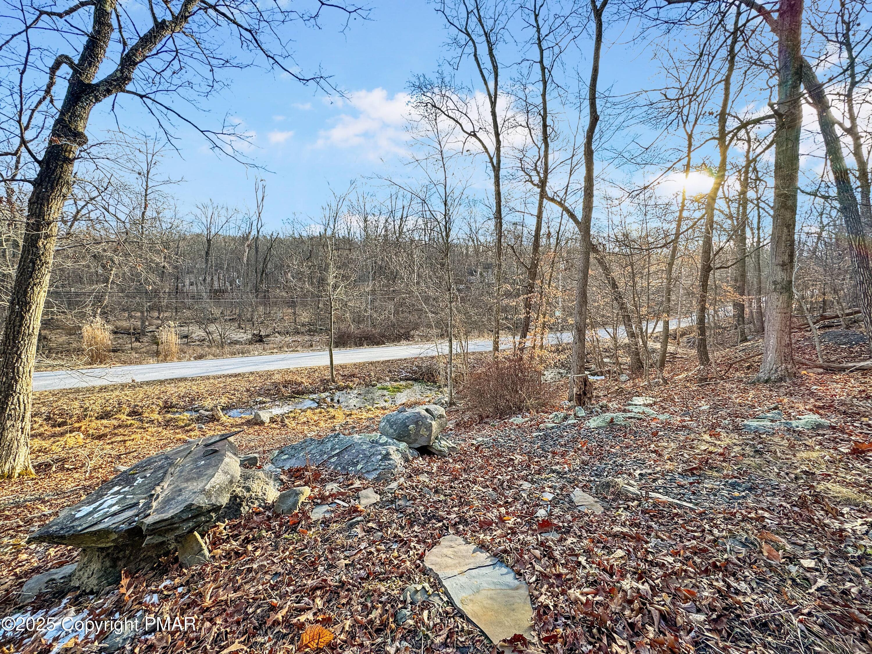 1037 Porter Drive Bushkill, PA 18324 - Photo 35 of 45 a view of a yard with trees