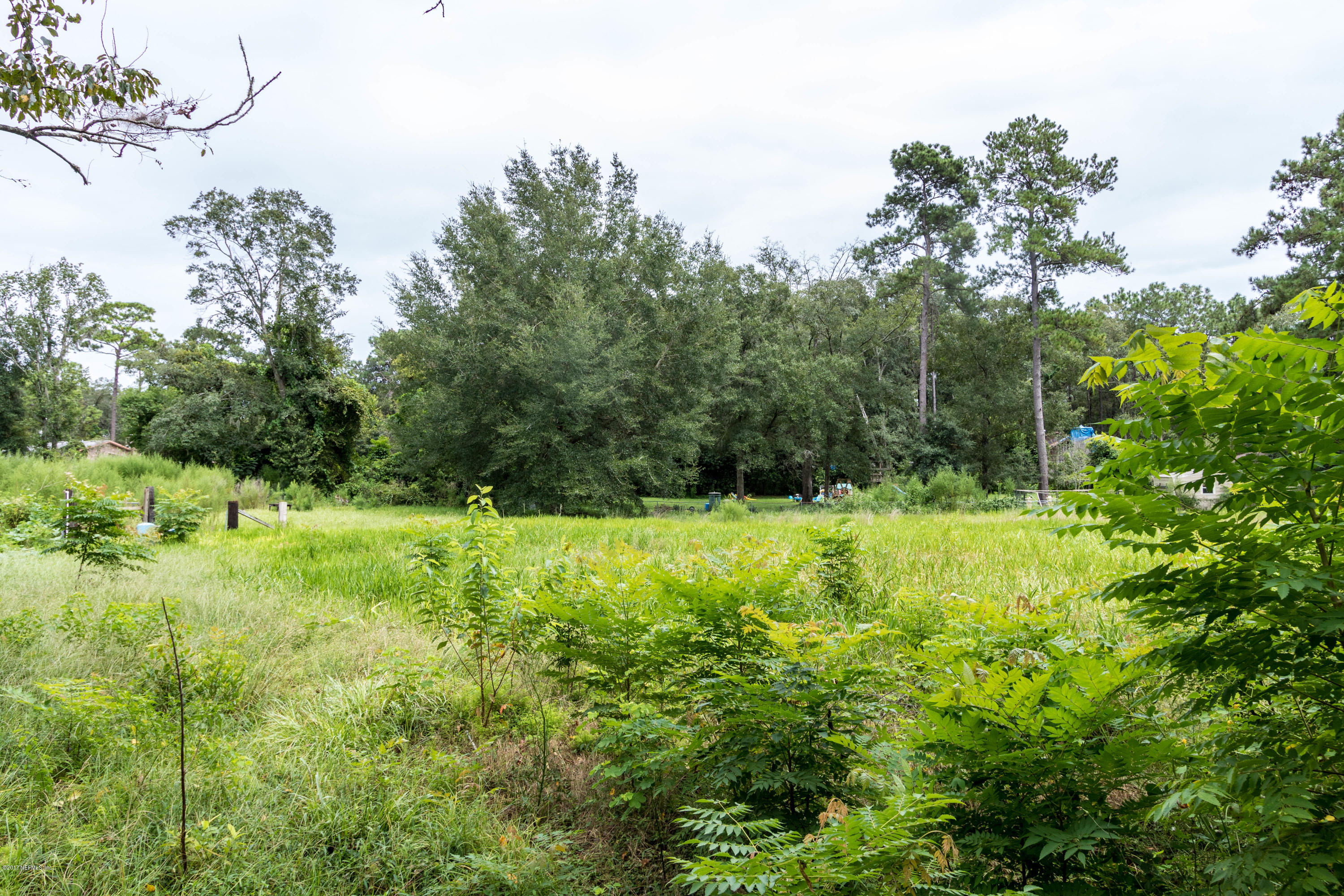 861 Cahoon Road South Jacksonville, FL 32221 - Photo 19 of 23 Back of property