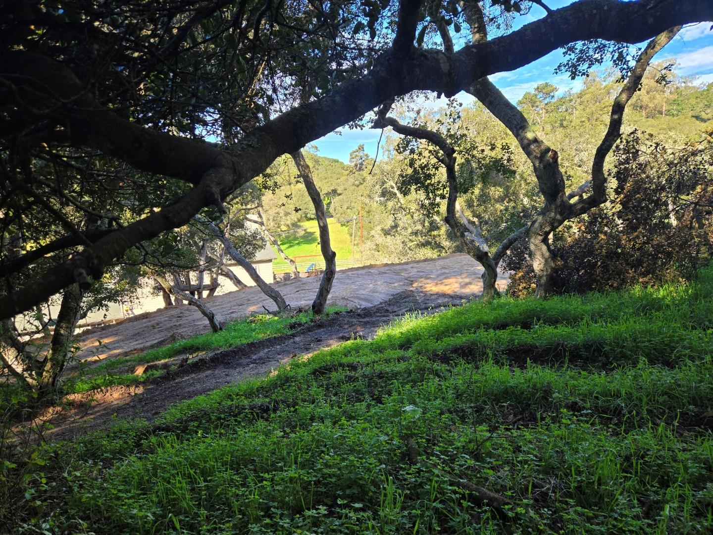 0 Paradise Road Salinas, CA 93907 - Photo 16 of 29 a view of backyard with swimming pool and green space