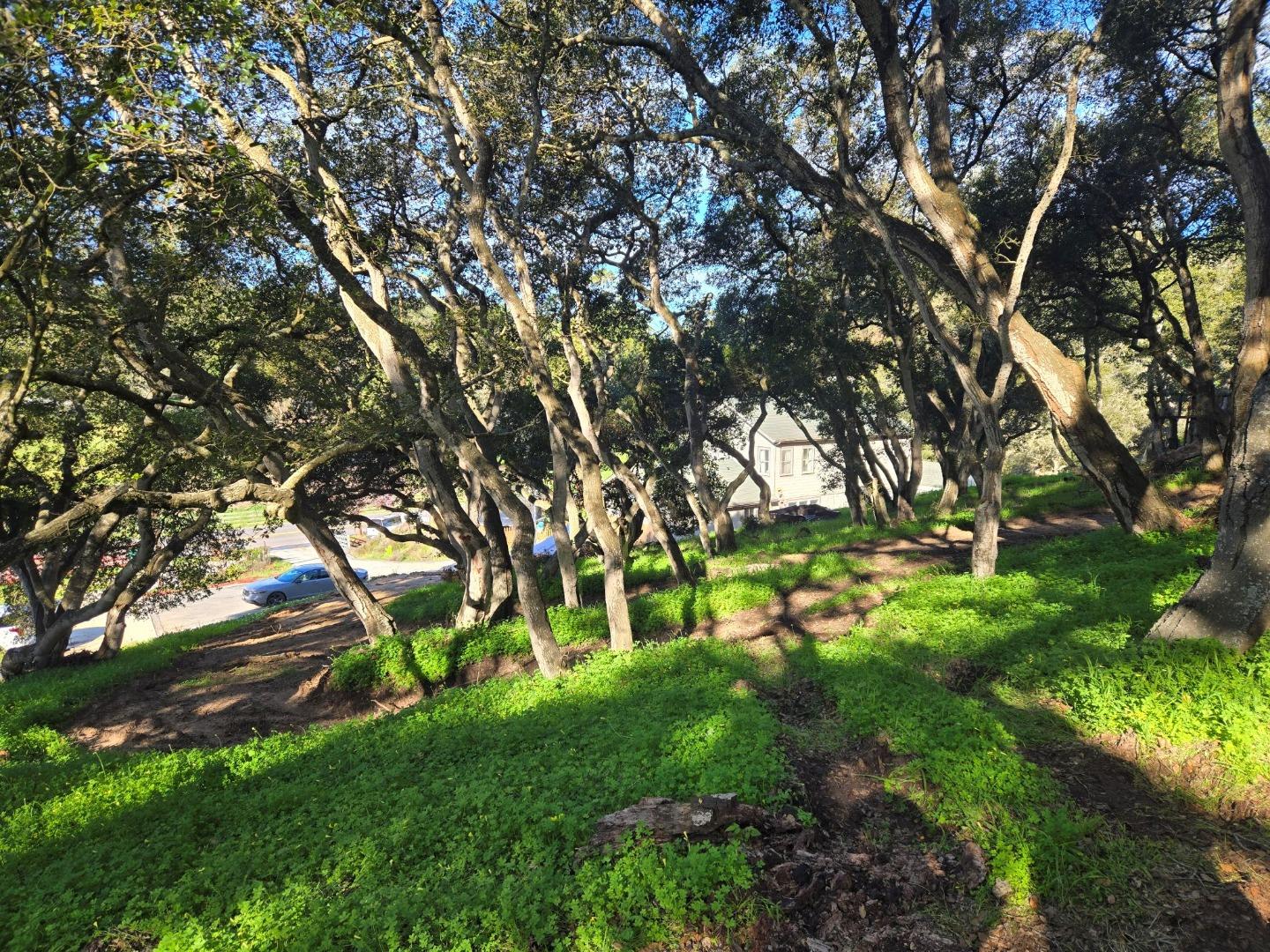 0 Paradise Road Salinas, CA 93907 - Photo 3 of 29 a view of yard with green space