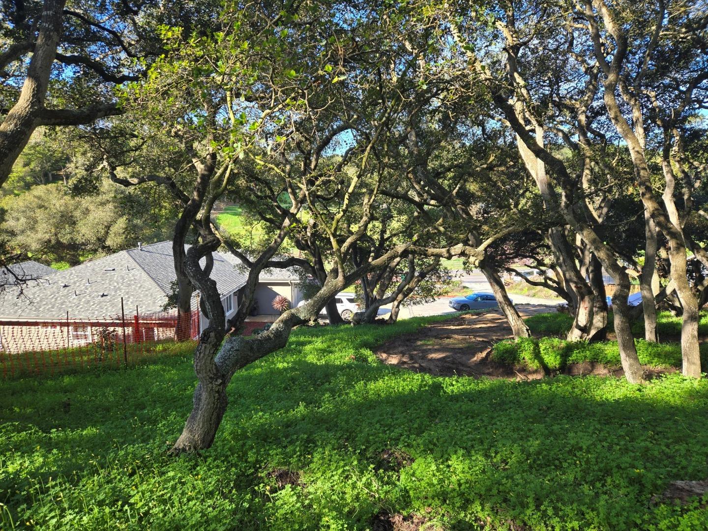 0 Paradise Road Salinas, CA 93907 - Photo 4 of 29 a view of green field with a tree
