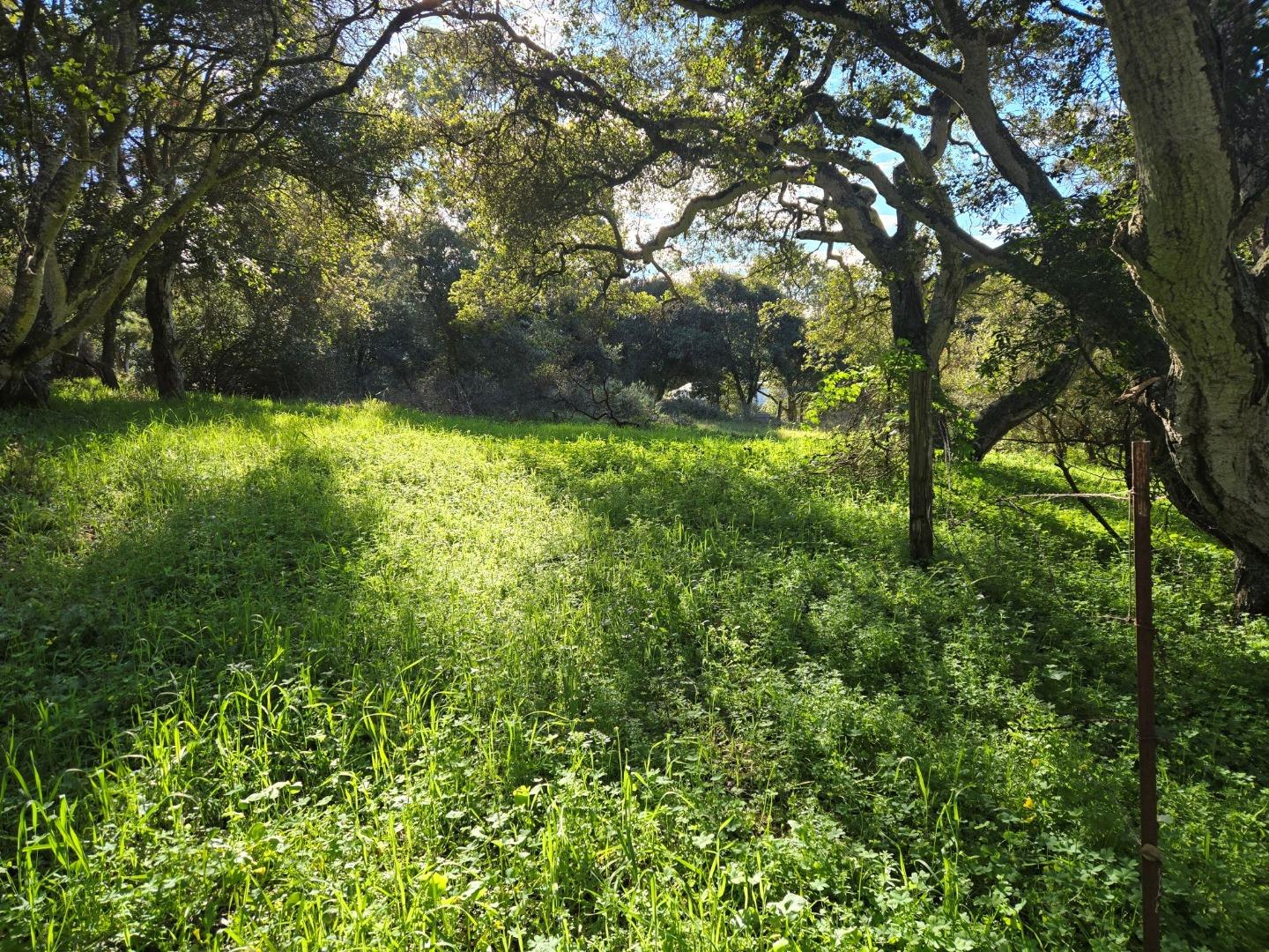 0 Paradise Road Salinas, CA 93907 - Photo 5 of 29 a view of outdoor space with deck and yard