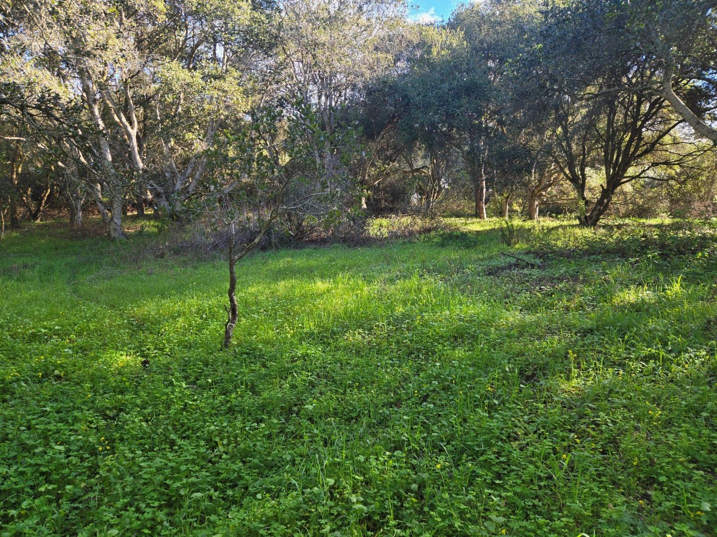 0 Paradise Road Salinas, CA 93907 - Photo 7 of 29 a view of a park