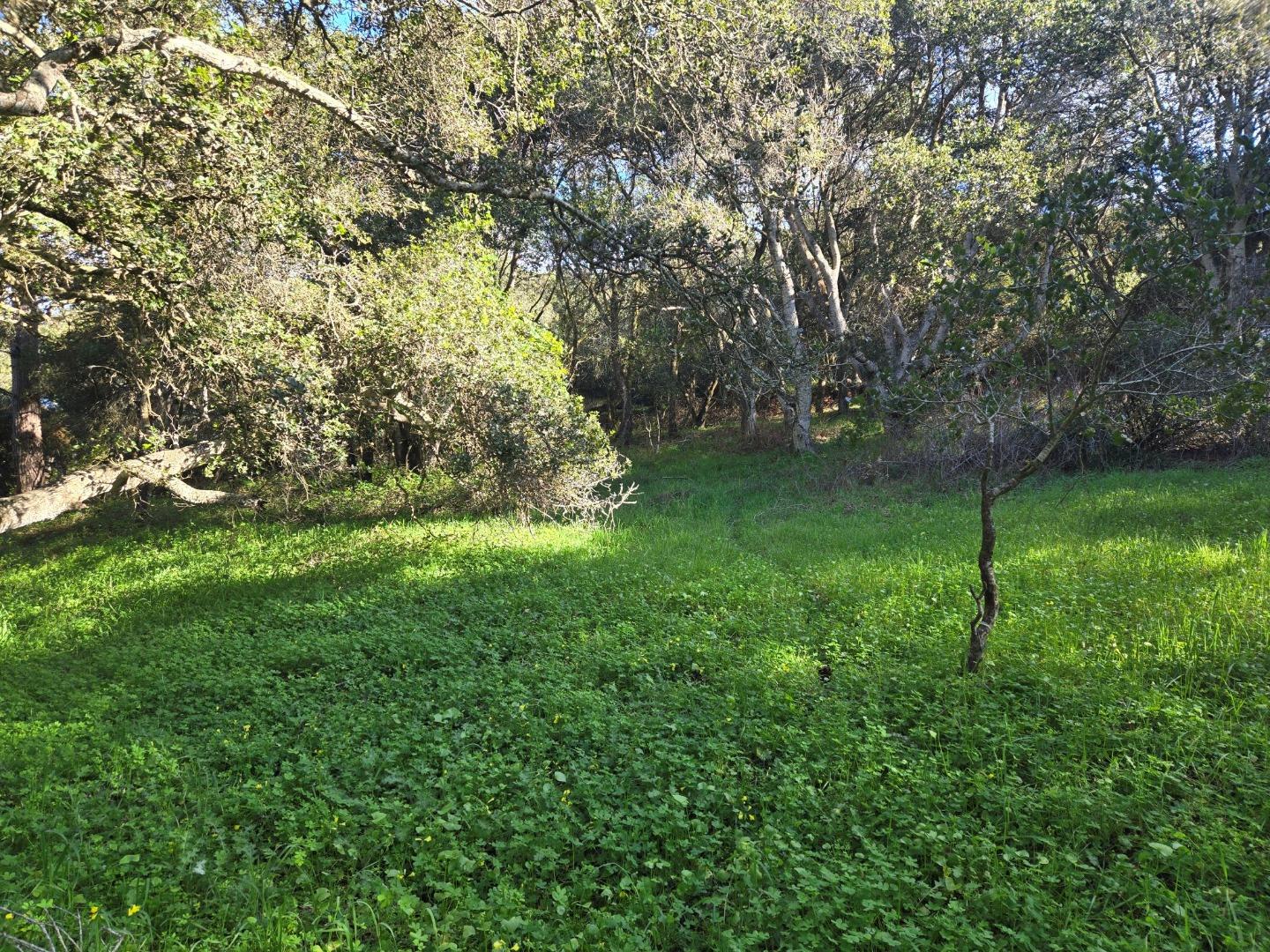 0 Paradise Road Salinas, CA 93907 - Photo 10 of 29