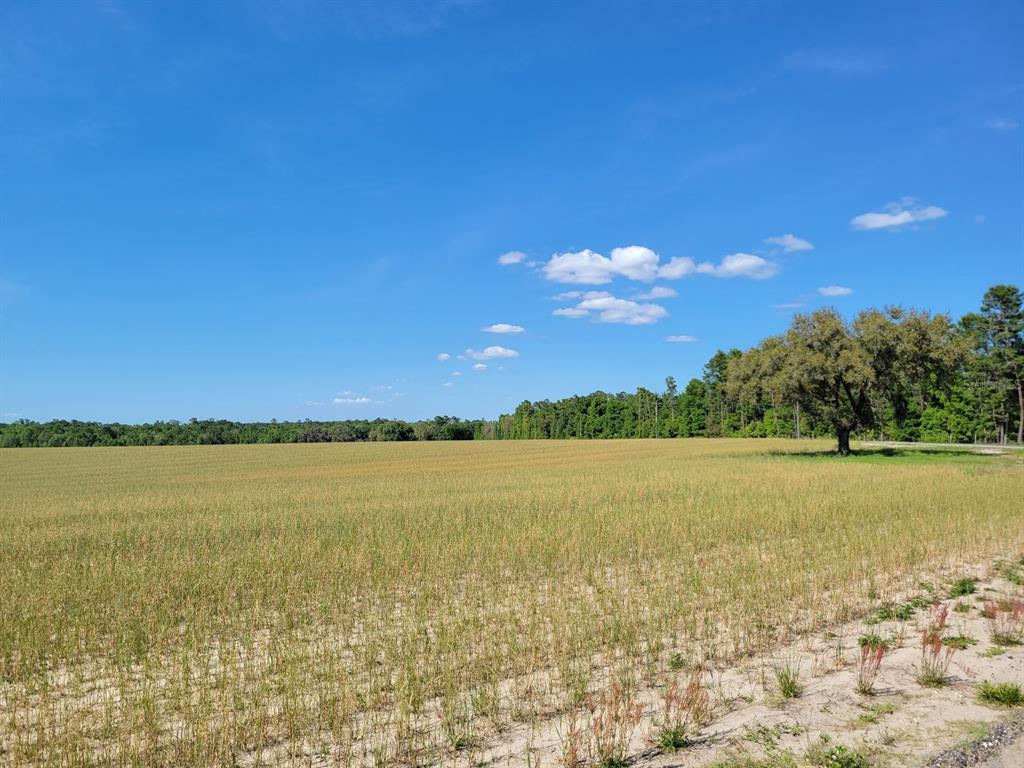 10 East E Highway Fort McCoy, FL 32134 - Photo 1 of 1