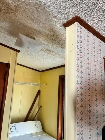 a bathroom with a shower and a toilet