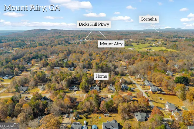 $320,000 | 357 Sundew Lane, Mount Airy, GA 30563