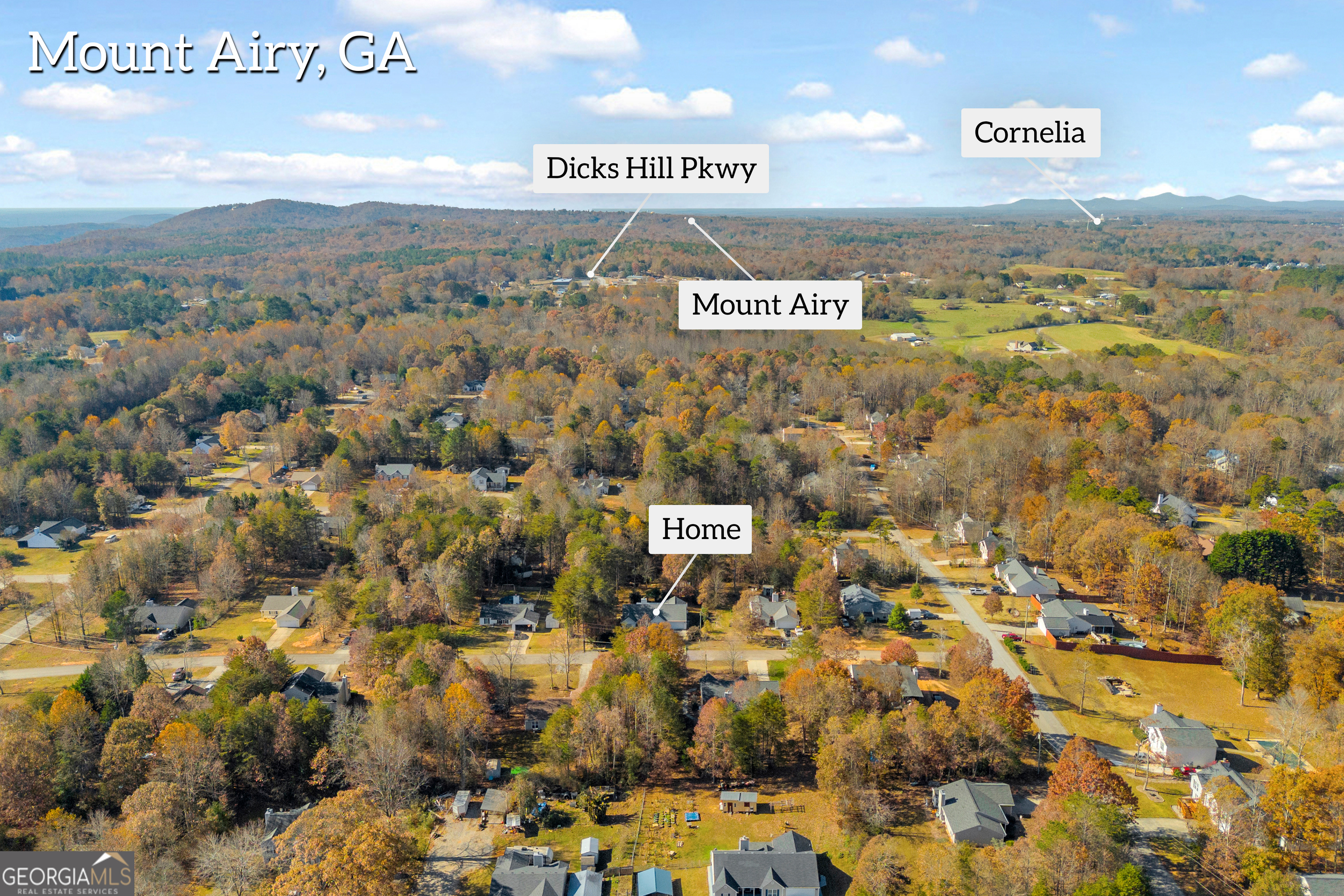 357 Sundew Lane Mount Airy, GA 30563 - Photo 44 of 53 a view of city