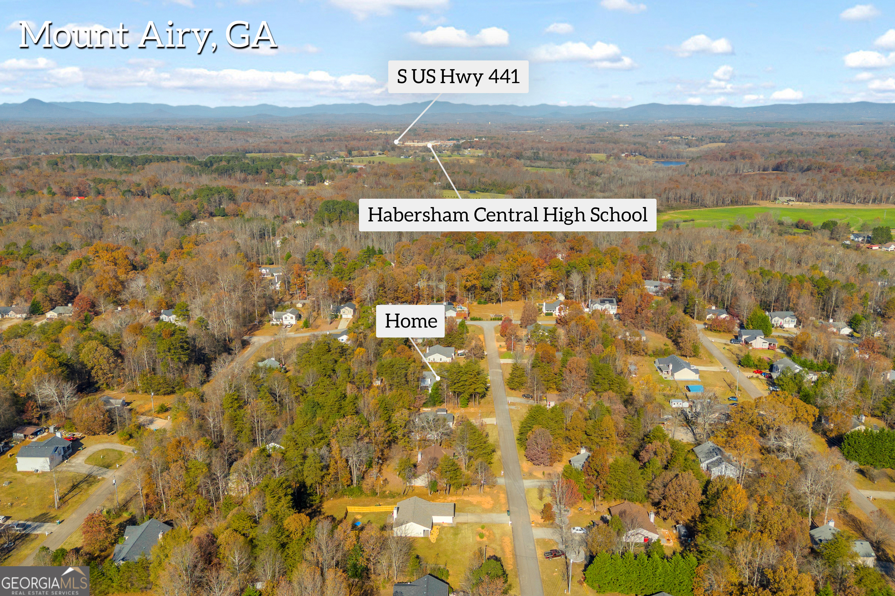 357 Sundew Lane Mount Airy, GA 30563 - Photo 49 of 53