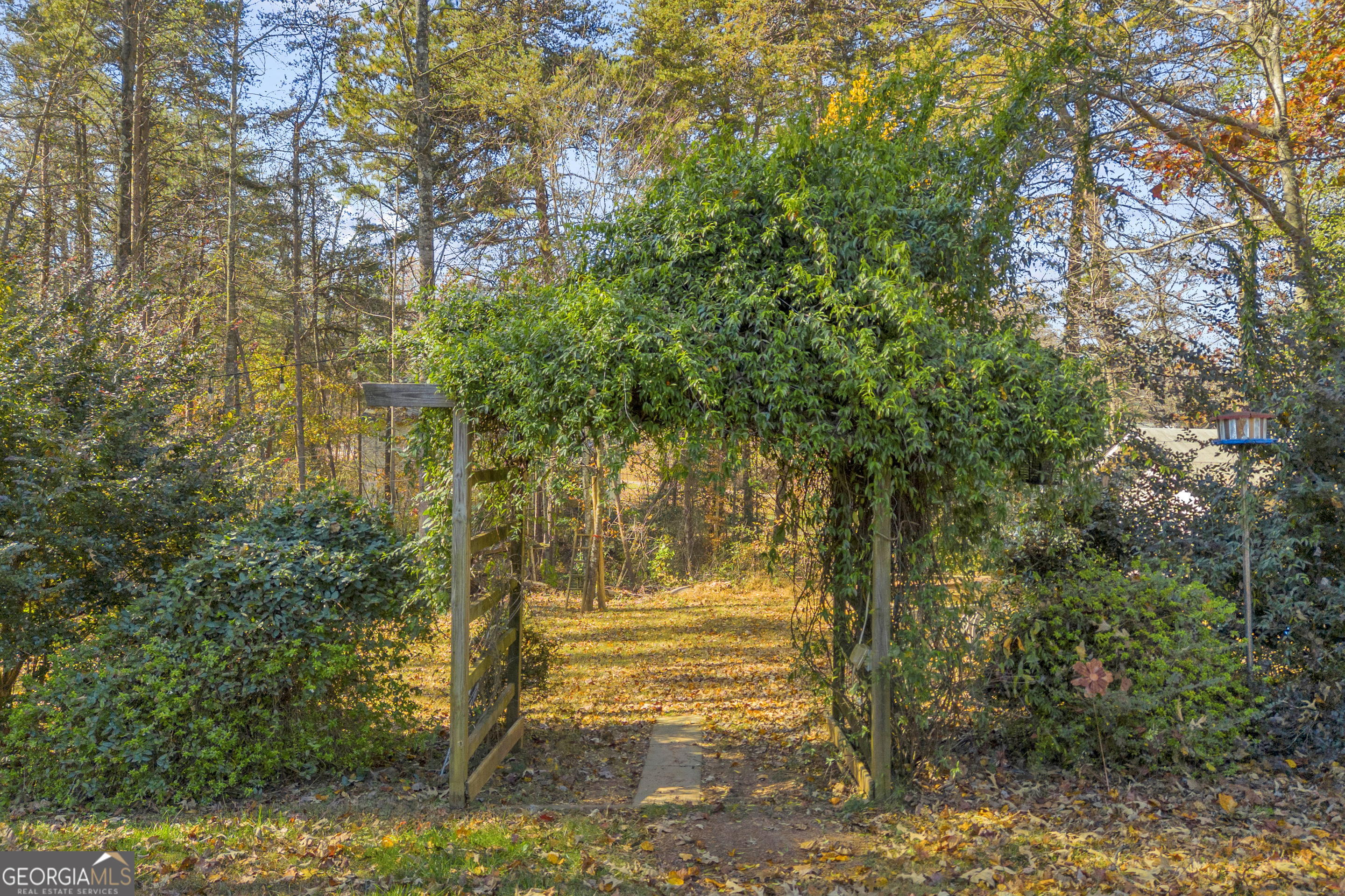 357 Sundew Lane Mount Airy, GA 30563 - Photo 50 of 53 a view of outdoor space with trees