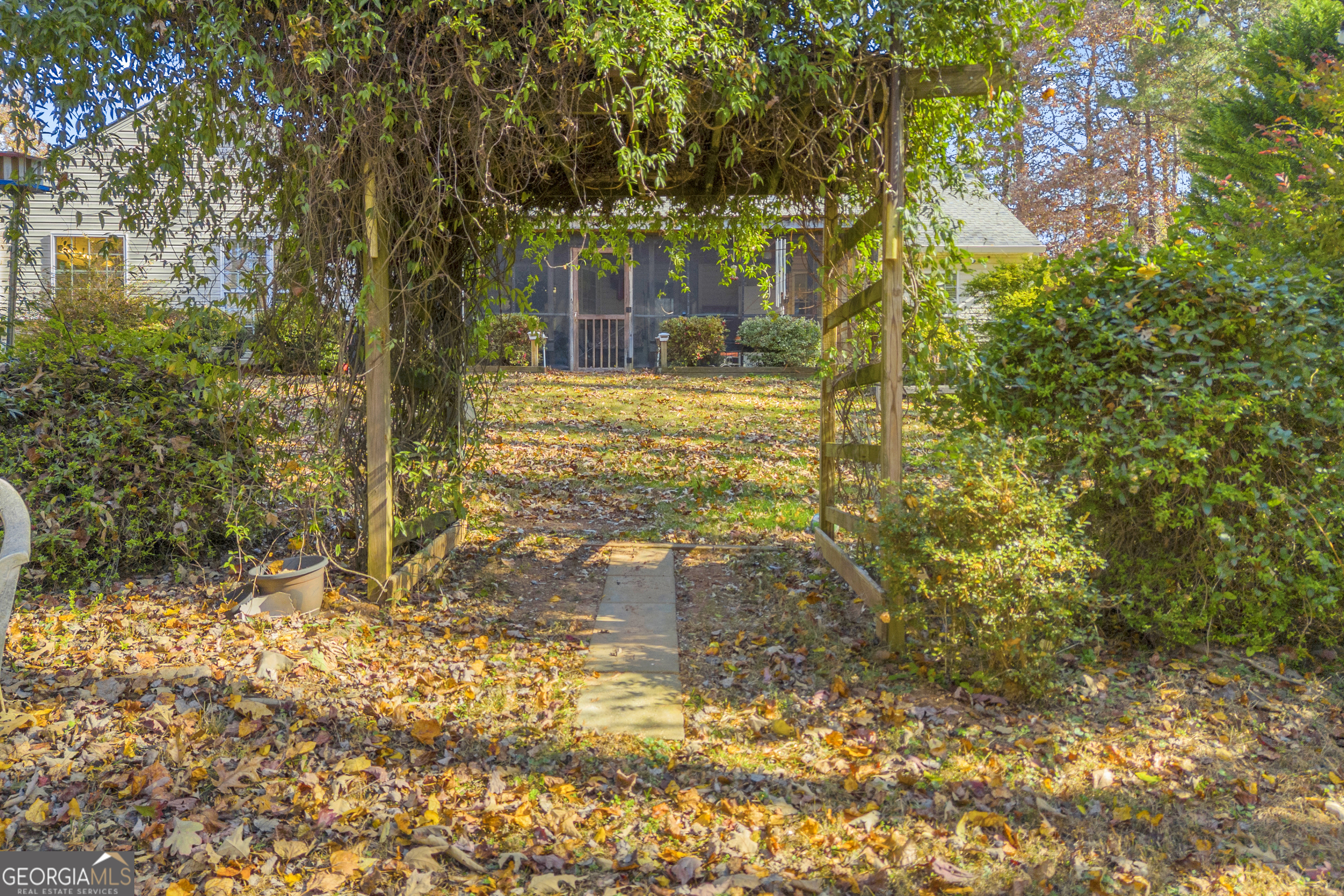 357 Sundew Lane Mount Airy, GA 30563 - Photo 53 of 53 a view of a yard with plants and large trees