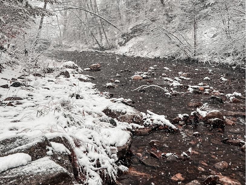 1528 Townshend Road Grafton, VT 05146 - Photo 23 of 23