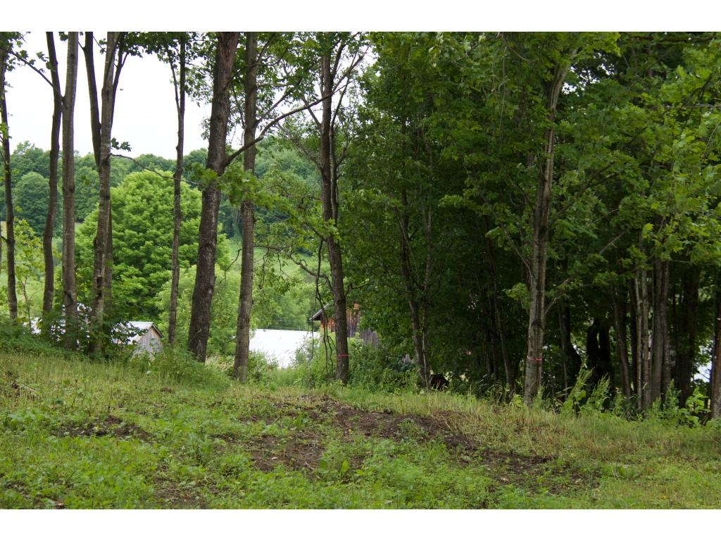 0 Guptil Road, Unit LOT 2 Waterbury Center, VT 05677 - Photo 14 of 24 Gallery Image 14
