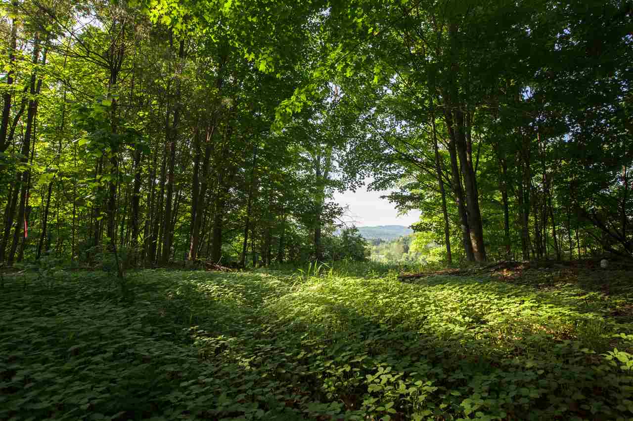 0 Guptil Road, Unit LOT 2 Waterbury Center, VT 05677 - Photo 6 of 24 Gallery Image 6