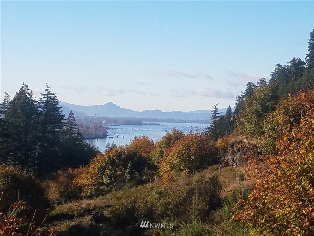 18 Maple Ridge Road Cathlamet, WA 98612 - Photo 4 of 10 Gallery Image 4