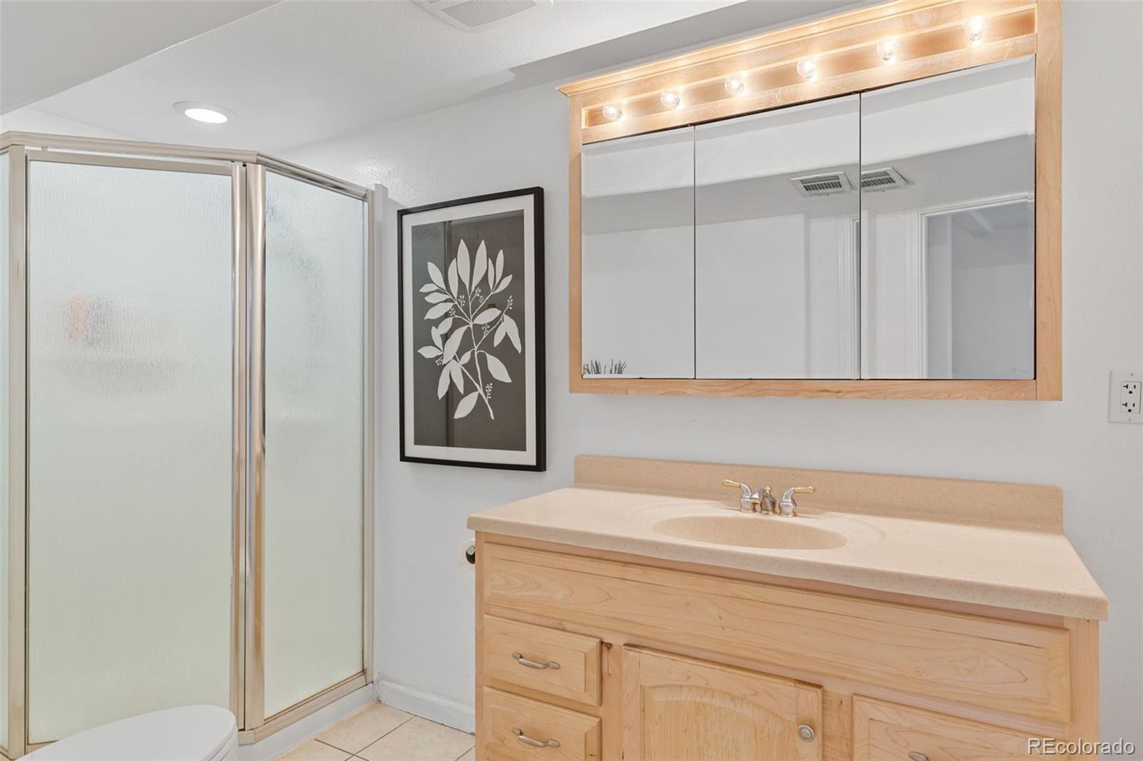 8674 Carr Loop Arvada, CO 80005 - Photo 29 of 43 a bathroom with a sink and a mirror