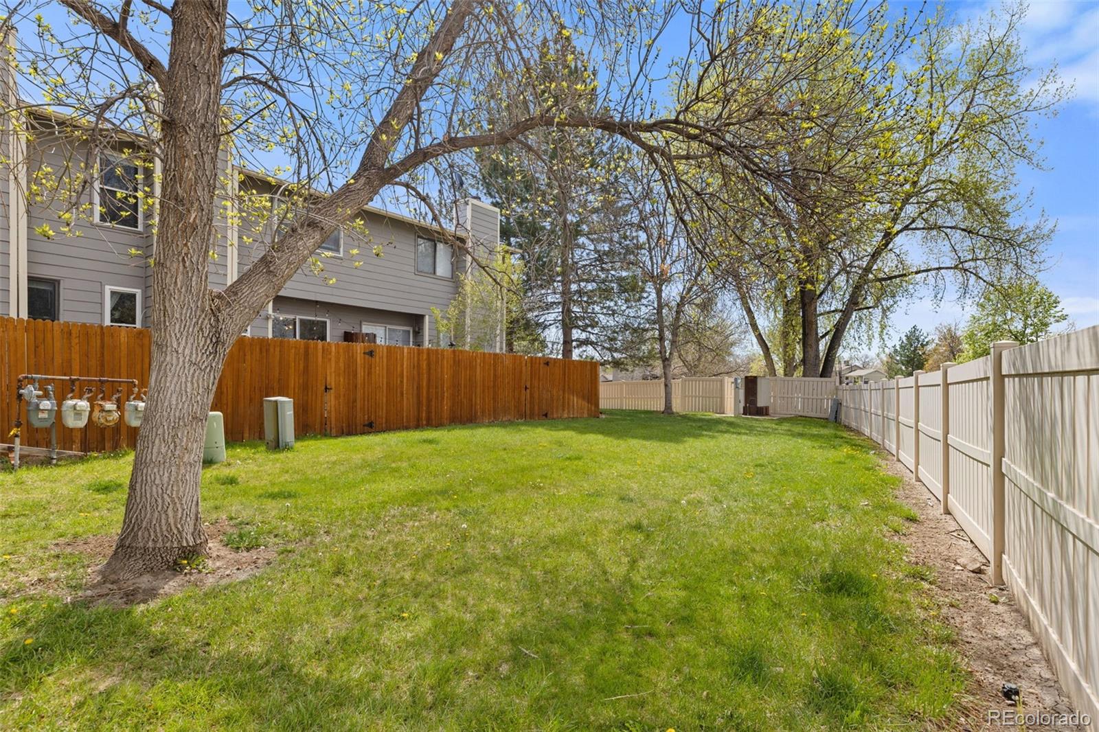 8674 Carr Loop Arvada, CO 80005 - Photo 33 of 43 a view of backyard with tree